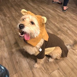 Meet your Posher, Devon